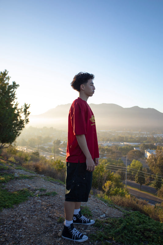 Red Kare Mesh Jeresy